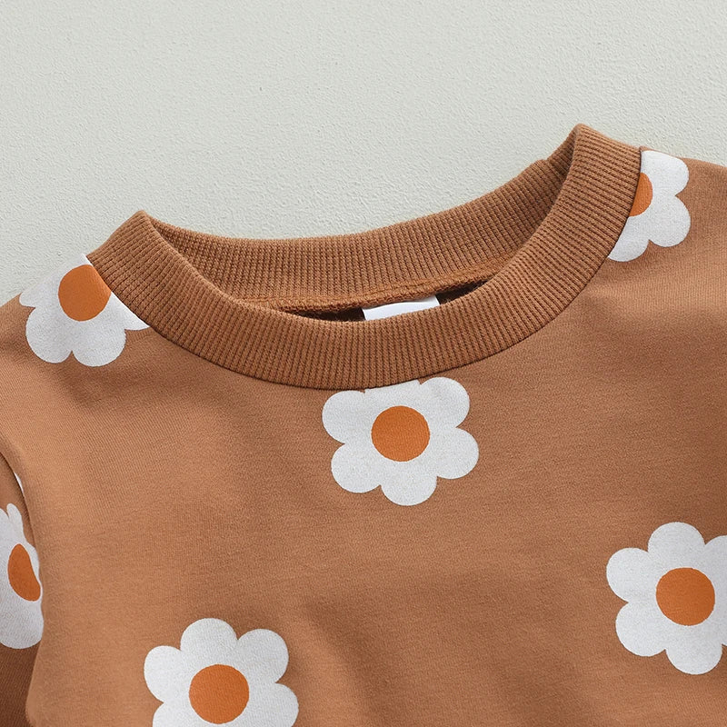 Lioraitiin 0-3Years Toddler Baby Girls 2Pcs Fall Outfit Set